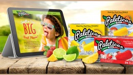 Paleticas branding, logo design, packaging design, website design and more