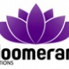 Bloomerang Solutions