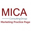 Mica Consulting Group